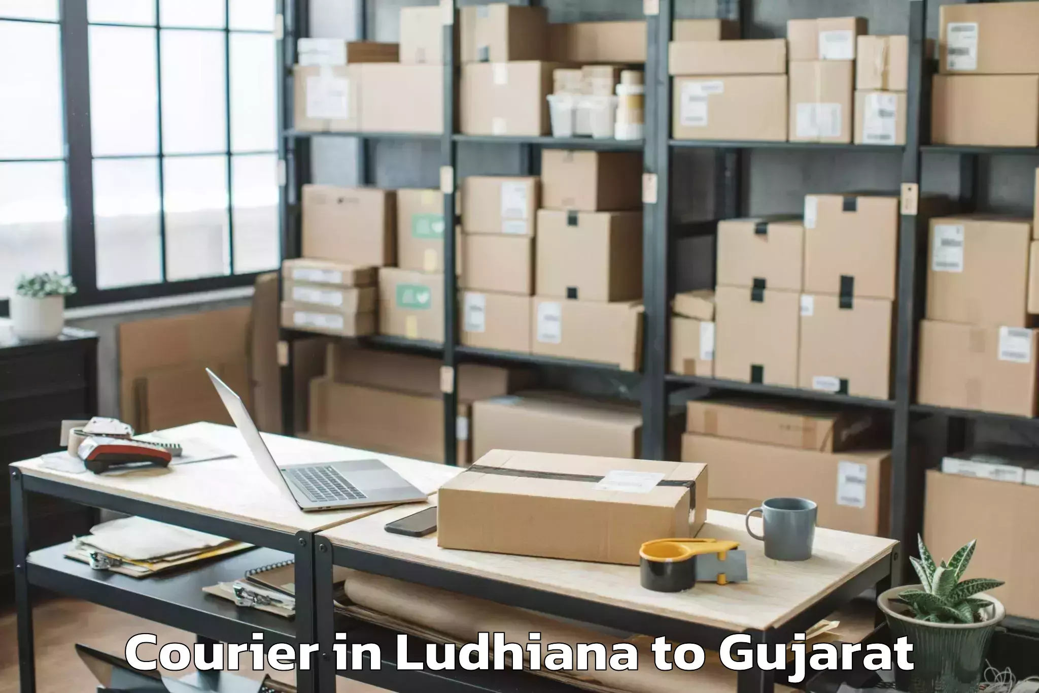 Professional Ludhiana to Satlasana Courier